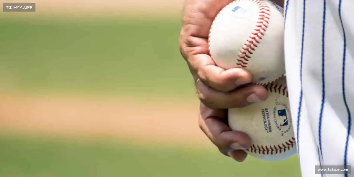 <strong>吃瓜app</strong>以镜头为笔，以热爱为墨，书写每一个影视梦想✨